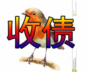 专业讨债方案代理哪家好-【找昆明收账公司】